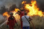 Cháy rừng bủa vây làm 50 người chết gần Thủ đô Hy Lạp, dân lao ra biển