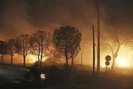 Thế giới nổi bật trong tuần: Cháy rừng nghiêm trọng ở Hy Lạp khiến 87 người thiệt mạng