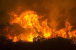 Cháy rừng dữ dội ở California (Mỹ), 2 lính cứu hỏa thiệt mạng
