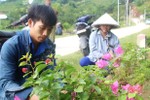 Công đoàn xã Hương Thọ ươm trên 27.000 cây cảnh làm đẹp nông thôn mới