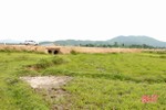 Sớm xử lý dứt điểm tình trạng bồi lấp đất sản xuất 2 bên đường Xuân Hội - Vũng Áng