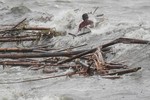 Siêu bão Mangkhut càn quét, làm đảo lộn cuộc sống của người dân Philippines