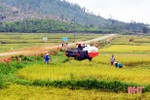 Thực hư chuyện "ép" nông dân thuê máy gặt giá cao ở Kỳ Xuân