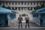 Hàn Quốc thành lập hội đồng biến DMZ thành khu du lịch hòa bình