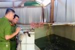 Cảnh sát Môi trường triệt phá cơ sở làm giả dầu nhớt cực lớn ở Hà Tĩnh