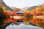 Ngắm mùa lá đỏ Hàn Quốc tuyệt đẹp dịp thu về