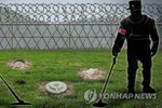 Hàn Quốc và Triều Tiên bắt đầu dỡ mìn khỏi Khu phi quân sự DMZ