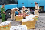 900kg thịt mèo "leo" xe khách từ Nam ra Bắc, bị bắt ở Hà Tĩnh