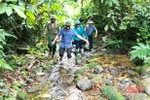 UN-REDD - bảo vệ rừng, cải thiện sinh kế cho người dân Hà Tĩnh