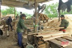 Khoảng 50 - 80% lợi nhuận gỗ vườn, gỗ rừng trồng rơi vào túi "đầu nậu"!