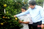 Thứ trưởng Bộ NN&PTNT khuyên người trồng cam Vũ Quang dùng phân bón hữu cơ