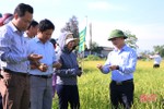 Nông dân Hà Tĩnh liên kết DN sản xuất gần 1.000 ha lúa trên cánh đồng lớn