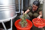 Tỷ lệ thất thoát nước sạch nông thôn Hà Tĩnh còn 24%