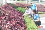 “Vườn ươm công đoàn” tiết kiệm hàng trăm triệu đồng làm hàng rào xanh