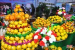 Ấn tượng Lễ hội cam và các sản phẩm nông nghiệp Hà Tĩnh lần thứ 2