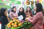 Lễ hội Cam và Sản phẩm nông nghiệp Hà Tĩnh doanh thu trên 3,2 tỷ đồng