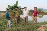 Tích tụ ruộng đất ở Can Lộc (bài 1): “Nghẽn” từ 2 xã thí điểm
