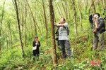 Người dân Hương Sơn “quyết” lấy chứng chỉ rừng