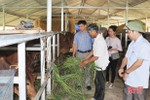 Hương Sơn giải ngân hơn 106 tỷ đồng hỗ trợ nông dân phát triển kinh tế