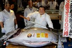Cận cảnh con cá ngừ có giá kỷ lục hơn 250 triệu đồng/kg