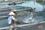 Thạch Hà thu 218 tỷ đồng từ nuôi trồng, đánh bắt thủy sản