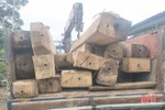 Kiểm lâm Hương Khê thu giữ 16 bê gỗ khai thác trái phép