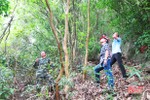 Hà Tĩnh trồng mới 8.000 ha rừng và 4, 2 triệu cây phân tán