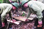 Nhiều điểm “nghẽn” trong quản lý, bảo vệ rừng ở Hà Tĩnh