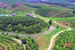 Dấu ấn nông thôn mới ở huyện biên giới Hà Tĩnh