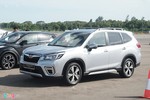 Subaru dừng sản xuất tại Nhật Bản, xe về Việt Nam sẽ bị ảnh hưởng
