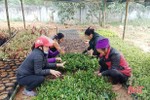 1 tháng, phụ nữ Hương Khê có 13 công trình “tặng” đại hội MTTQ các cấp