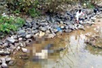 Tìm tung tích thi thể nam giới trôi dạt trên sông Lam