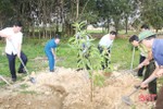 Lãnh đạo tỉnh trồng cây đầu xuân tại Đức Thọ, thị xã Hồng Lĩnh