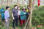 Công ty cao su Hương Khê phấn đấu khai thác 600 tấn "vàng trắng" năm 2019