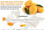 [Infographics] Xoài Việt Nam chính thức được xuất khẩu sang Mỹ