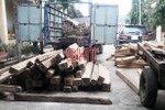 Bắt xe tải chở gần 250 thanh gỗ lậu trên QL 15 ở Hà Tĩnh