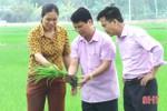UBND tỉnh Hà Tĩnh chỉ đạo tăng cường sản xuất vụ xuân "nghiêng ấm"