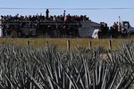 Lật xe tải chở người di cư Trung Mỹ ở Mexico khiến 55 người thương vong