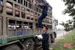 Ráo riết phòng ngừa dịch tả lợn châu Phi, nông dân Hà Tĩnh ngừng tăng đàn