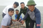Thả cá thể rùa gần 20 kg xuống biển Cửa Sót