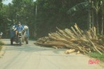 Ồ ạt tập kết gỗ keo bên đường, "uy hiếp" giao thông trên QL8C ở Hà Tĩnh
