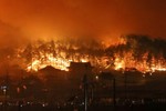 Cháy rừng dữ dội tại Hàn Quốc, hàng nghìn người sơ tán