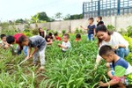 Tổng Giám đốc Vietnam Airlines hỗ trợ xây dựng vườn rau bán trú ở Hà Tĩnh