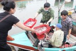 Mực tươi đầu mùa đắt đỏ, ngư dân Hà Tĩnh phấn khởi ra khơi