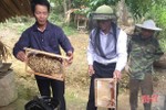 Thu hàng trăm triệu từ nuôi ong lấy mật ở Hương Khê