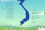 Vinamilk sở hữu hệ thống trang trại bò sữa đạt chuẩn Global G.A.P lớn nhất châu Á