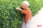 93 tuổi, cụ bà ở Hà Tĩnh vẫn góp sức làm nông thôn mới.