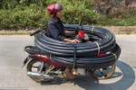 Khách Tây "choáng" với những kiểu lái xe "độc nhất vô nhị" ở Việt Nam