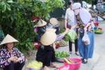 Sử dụng túi nilon - thói quen khó bỏ của người dân Hà Tĩnh