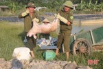 Yêu cầu chấm dứt hợp đồng cán bộ thú y thờ ơ với dịch bệnh ở Hà Tĩnh